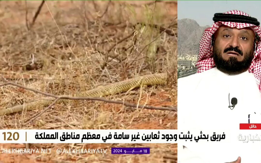 نوع جديد من الثعابين غير السامة موجودة بـ 3 مناطق بالمملكة