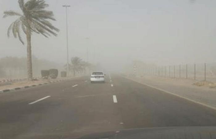 “الأرصاد” تحذر من رياح شديدة على تبوك سرعتها 49 كم/ساعة