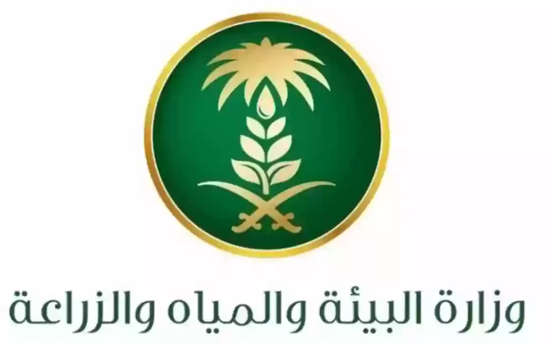 “البيئة”: 54 بحثًا زراعيًا لتعزيز الابتكار وتنمية المجتمعات الريفية