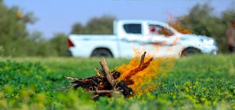حائل .. القبض على مخالف لنظام البيئة لإشعاله النار في أراضي الغطاء النباتي