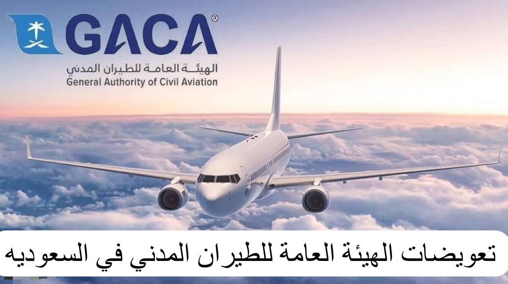 “الطيران المدني”: بدء تشغيل الخطوط البولندية برحلات منتظمة بين البلدين