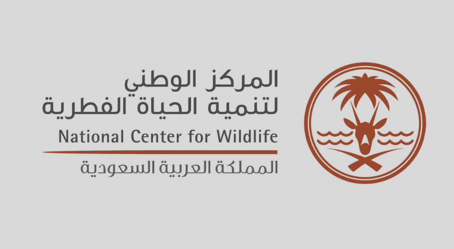 499 نوعًا من الطيور و266 شعب مرجانية.. الأرقام تكشف عن ثراء المملكة وتنوعها الأحيائي