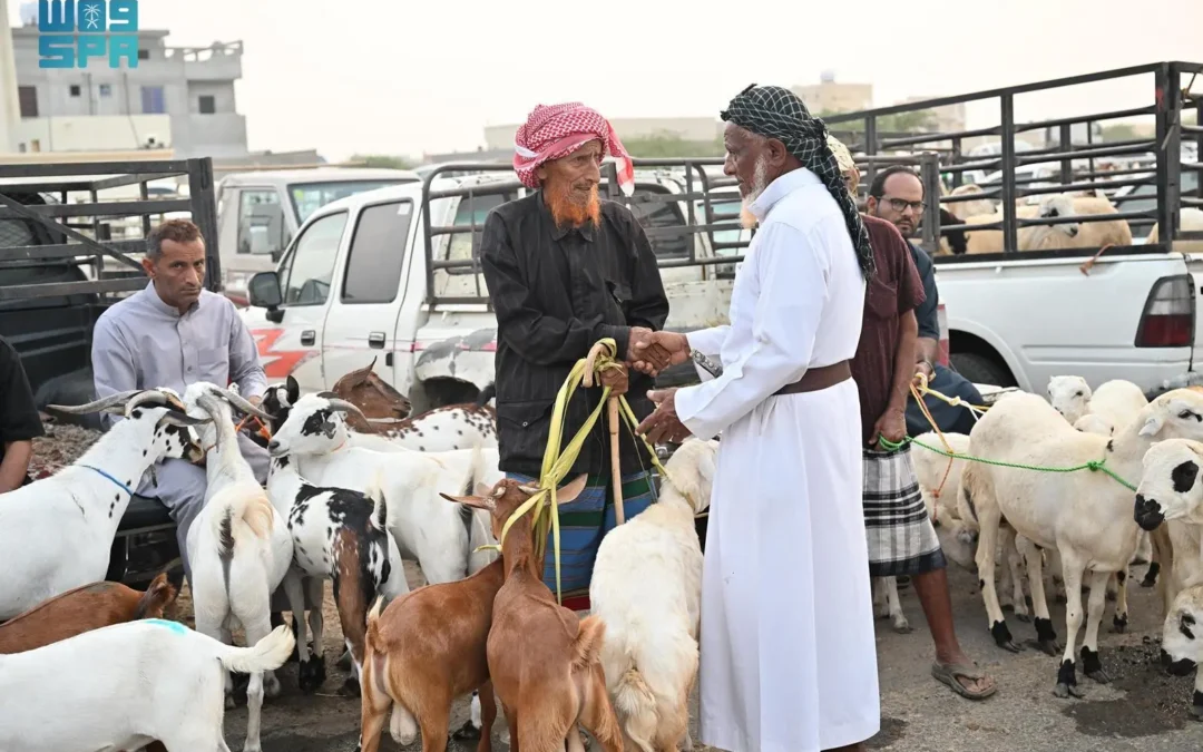 شاهد من جازان.. إقبالٌ من المتسوّقين على شراء الأضاحي والأسعار تتجاوز وتتفاوت!