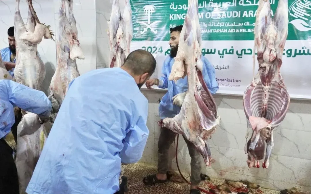 “إغاثي الملك” يوزّع 181 أضحية في مدينة عفرين السورية