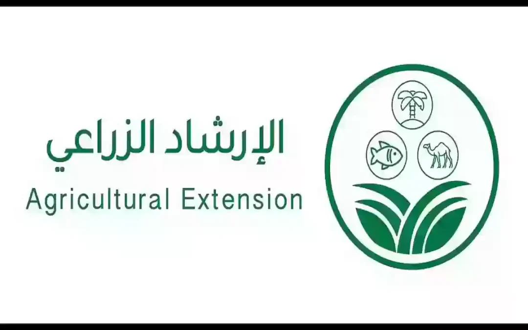 “الإرشاد الزراعي”: تجفيف ثمار التين من المشاريع الناجحة التي تزيد من القيمة المضافة
