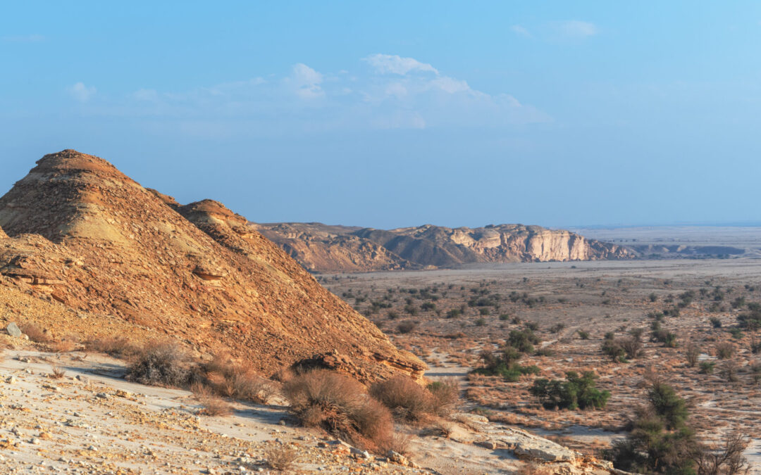 هيئة تطوير محمية الإمام عبدالعزيز بن محمد الملكية توقف أكثر من 160 مخالفة