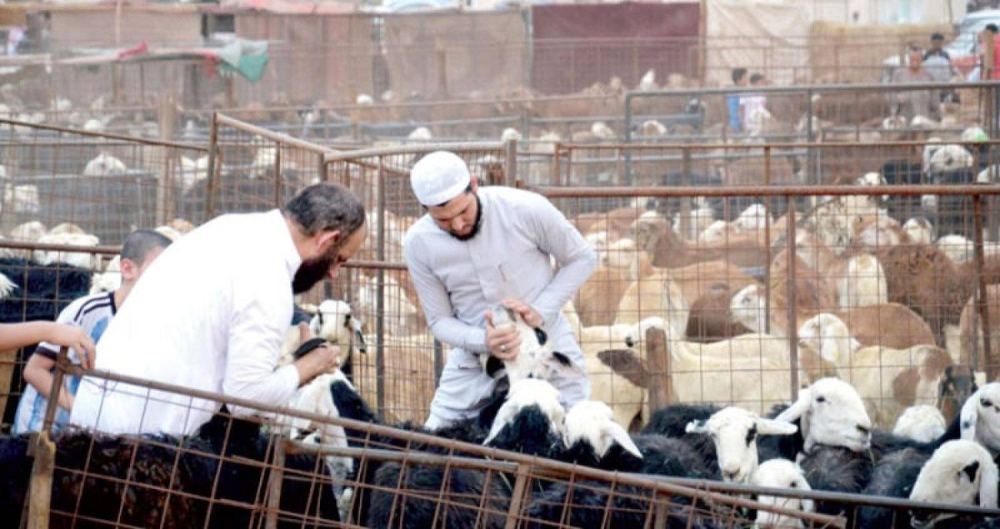 ضبط وافدَيْن للترويج لسندات هدي غير نظامية