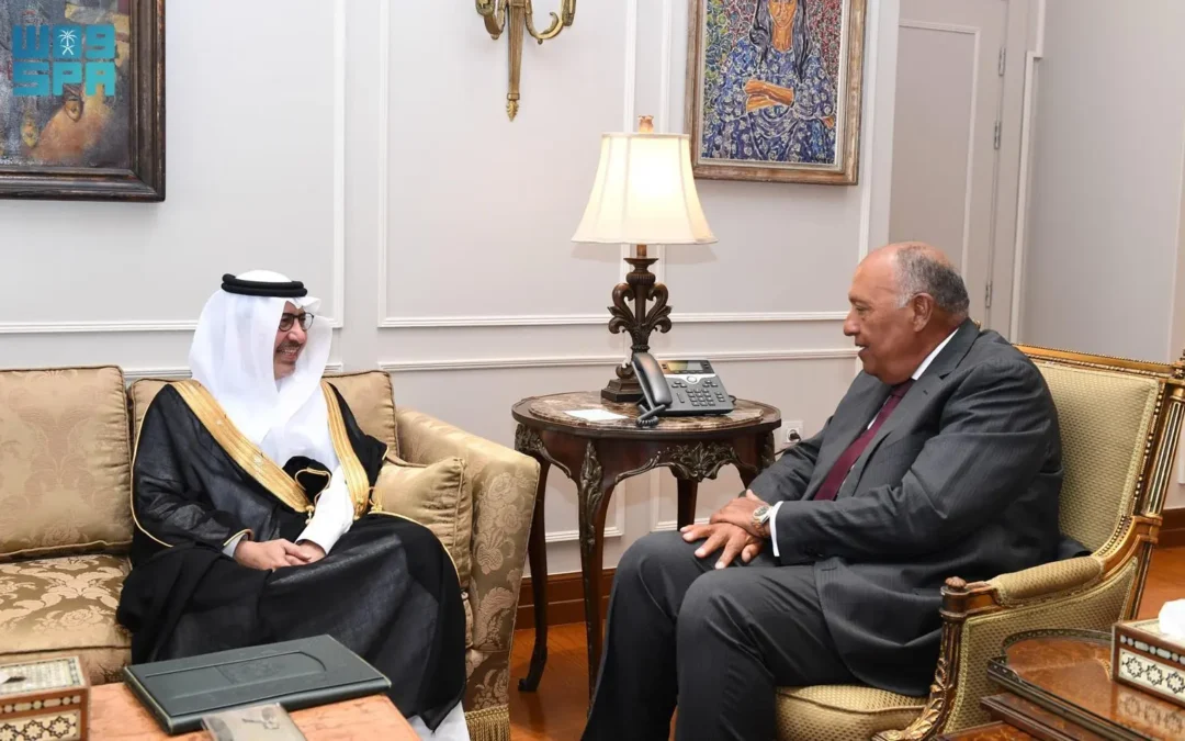 سفير المملكة الجديد بالقاهرة يسلّم أوراق اعتماده لوزير خارجية مصر