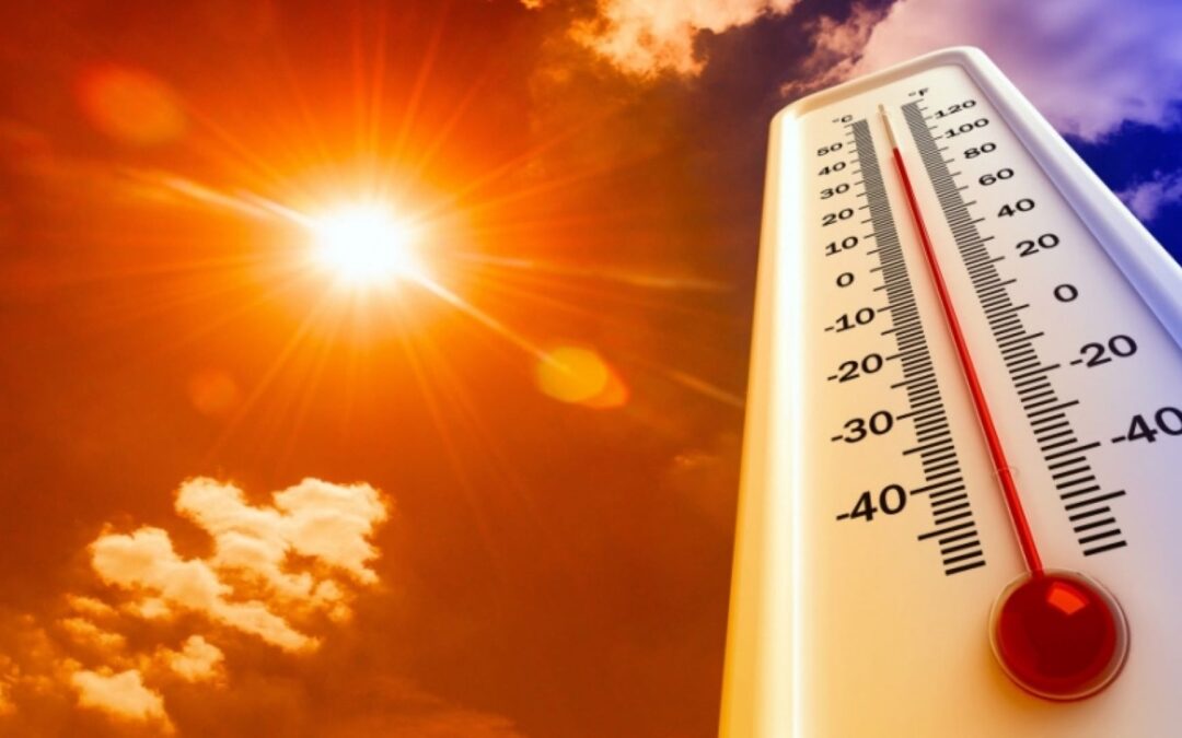 ثالث أعلى درجة حرارة على الأرض .. المدينة المنوّرة تسجّل 47.1° مئوية