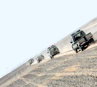 في جازان والشرقية.. إحباط تهريب وترويج “قات وشبو”