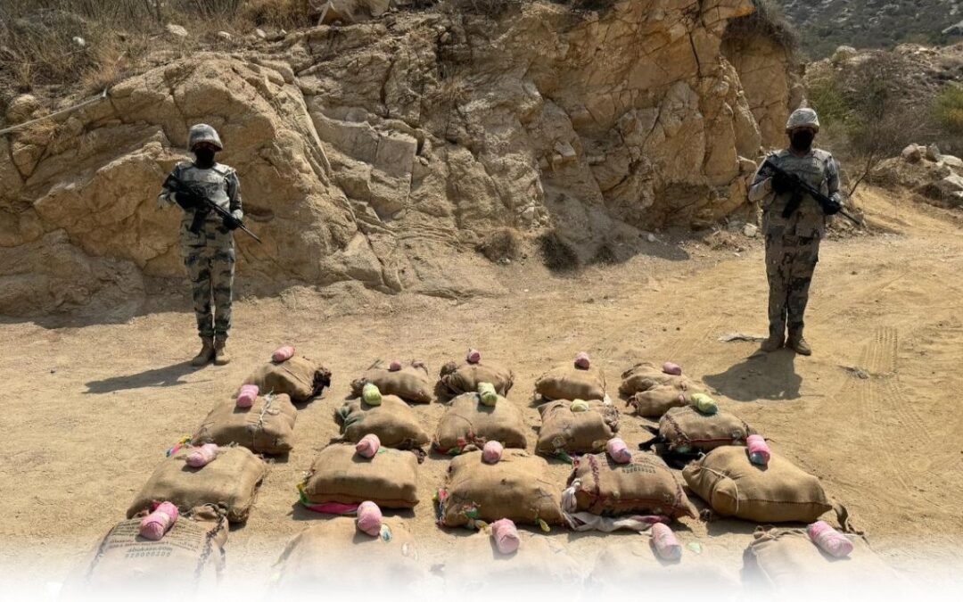 بعسير وجازان .. إحباط عمليات تهريب 416 كغم من الحشيش والقات