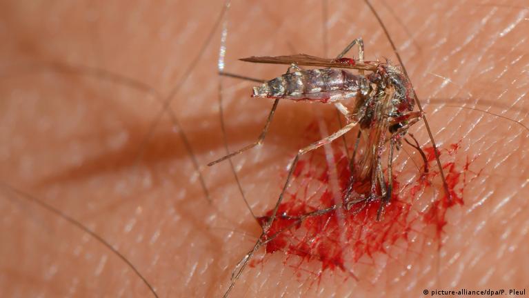 “فيروس” يهاجم الإسرائيليين.. والحصيلة 11 وفاة بسبب المرض