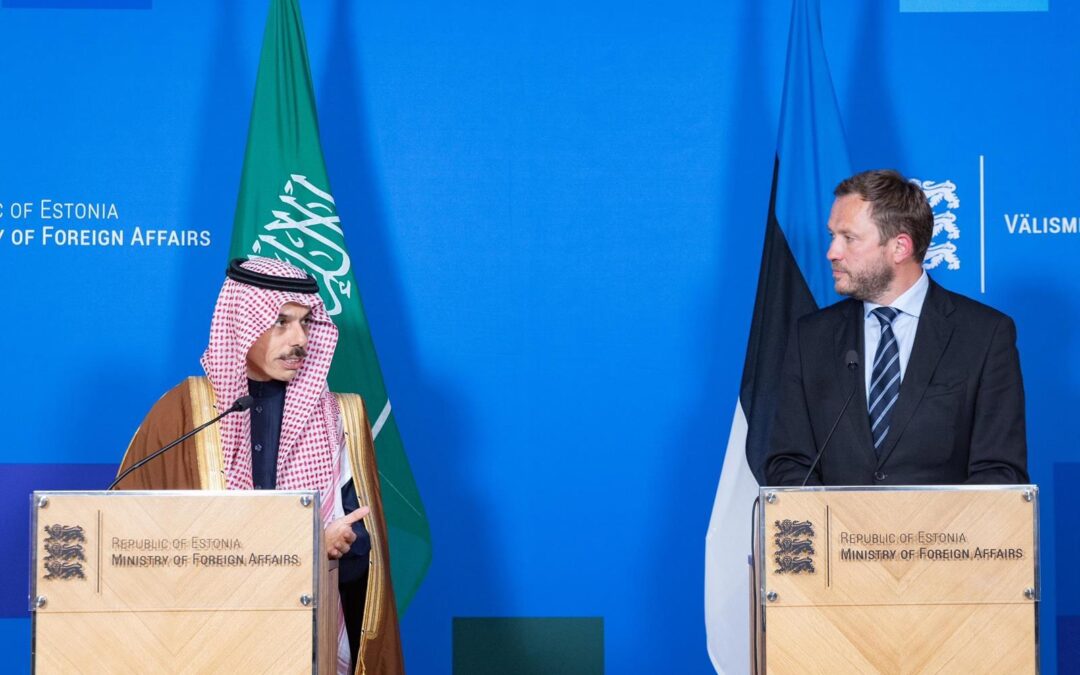 “وزير الخارجية”: مذكرة التفاهم مع إستونيا أساس للتعاون بين البلدين