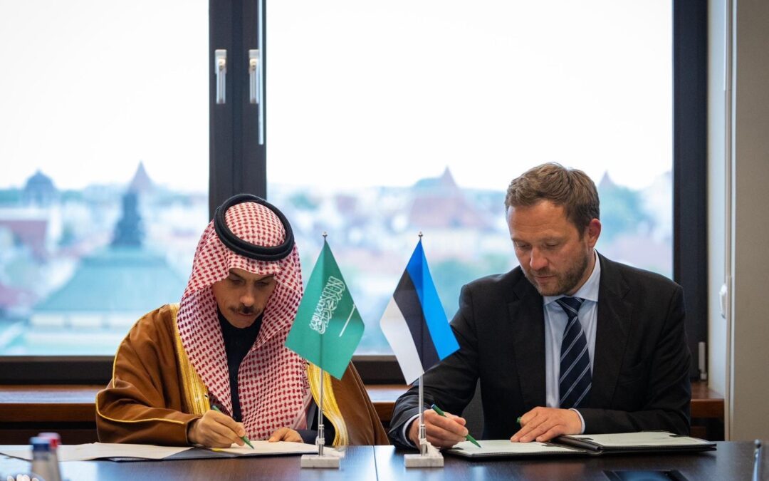 وزير الخارجية ونظيره الإستوني يبحثان سبل تعزيز العلاقات الثنائية