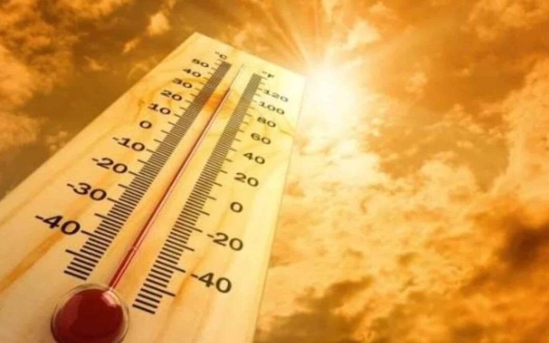 47 ْ مئوية.. “الأحساء” الأعلى حرارة بالمملكة و”السودة” الأقل بـ13ْ