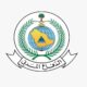 الدفاع المدني يشترط التأمين التعاوني لترخيص 8 أنشطة عالية الخطورة
