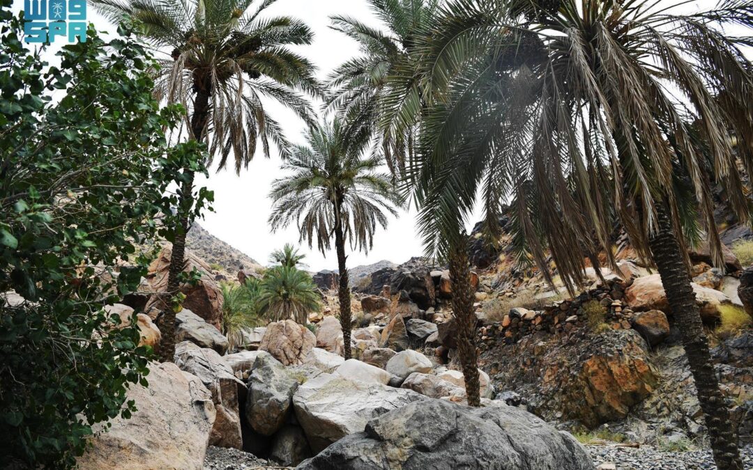 أهالي المدينة يزورون مركز الفقرة للاستمتاع ببرودة أجوائه بالصيف