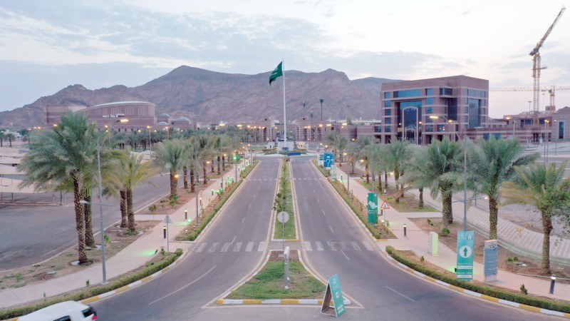 “جامعة طيبة” تعلن نتائج القبول المبدئي للعام الجامعي 1446هـ