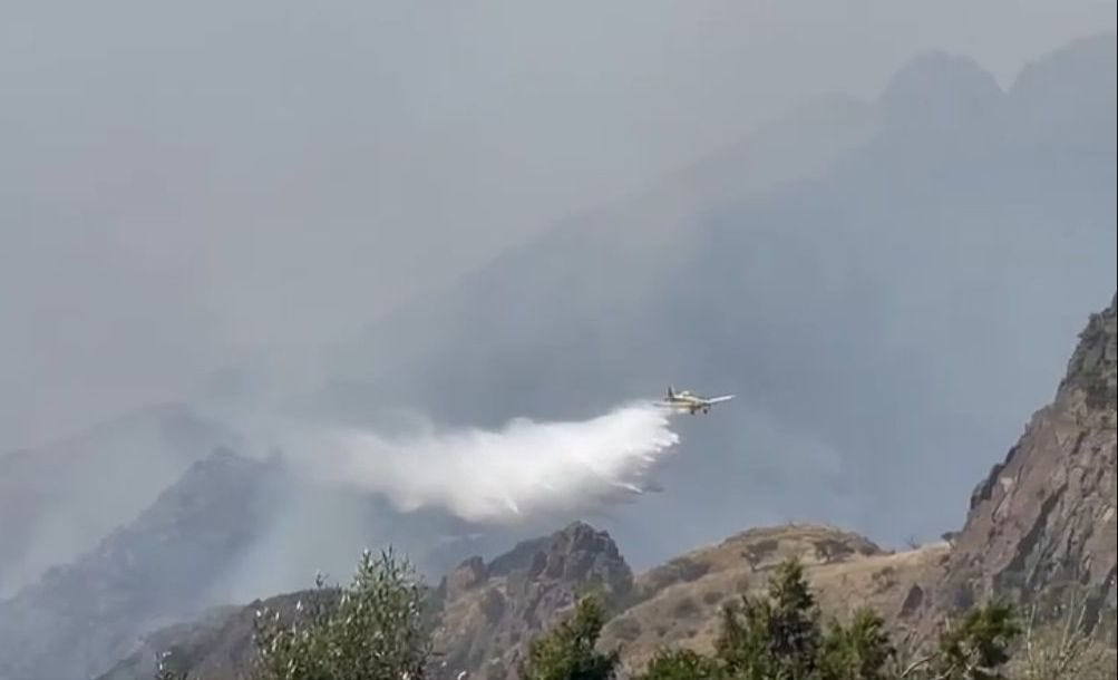 “مدني الباحة” يواصل مكافحة حريق اندلع في أشجار وأعشاب