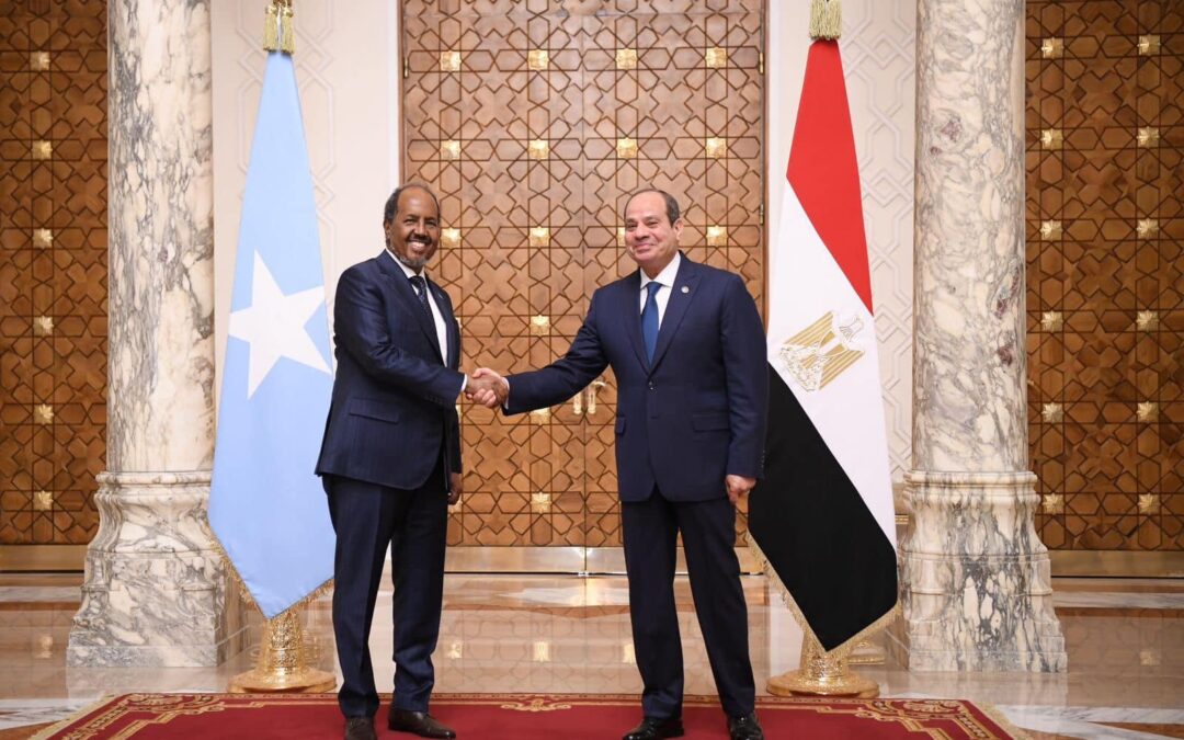 “السيسي” يوضح دعم مصر لوحدة وسيادة الصومال