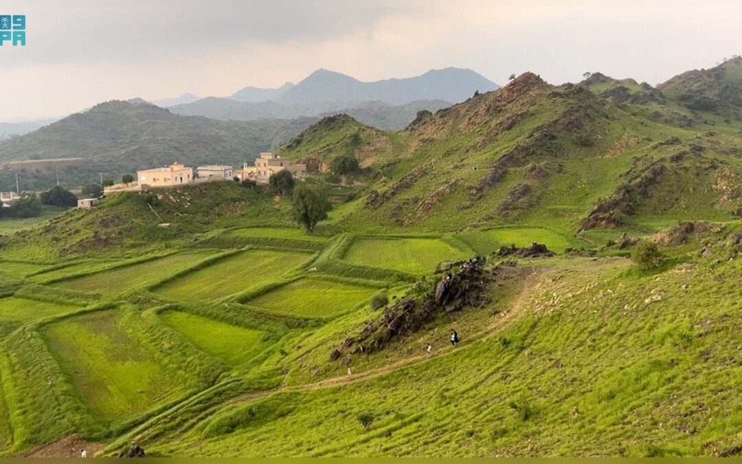 الأخضر يغطي جبال جازان في أجواء خلابة تستقطب المتنزهين