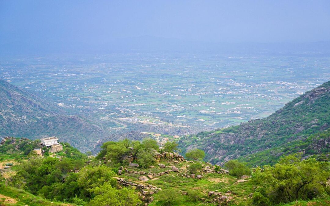 “طبيعة جازان” تخلب عقول عشاق الطبيعة ومرتادي البراري