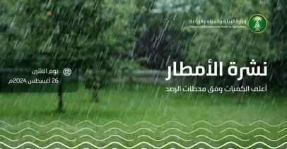 “عسير” الأعلى هطولًا للأمطار بـ 59.6 ملم في المجاردة ضمن 7 مناطق بالمملكة