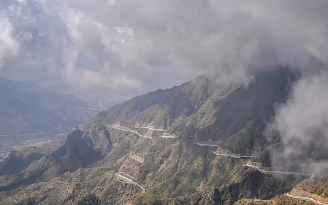 المتنزهون يستمتعون.. ضباب يعلو أجواء الباحة