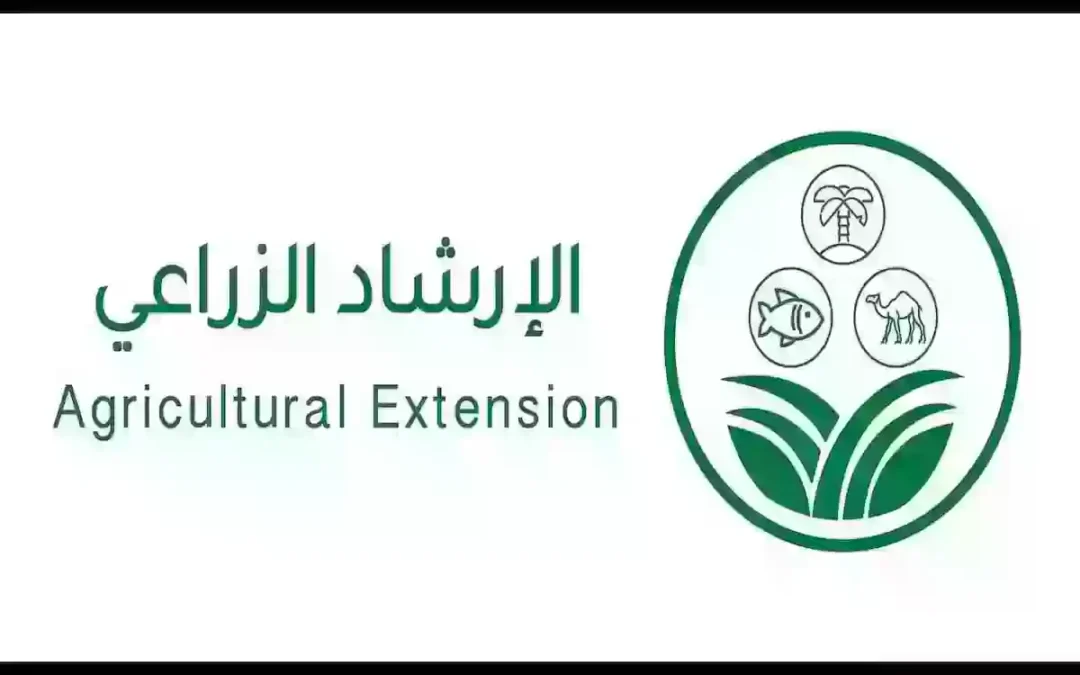 “الإرشاد الزراعي” يعلن أبرز طرق التعقيم الشمسي داخل البيت المحمي والصوب الزراعية