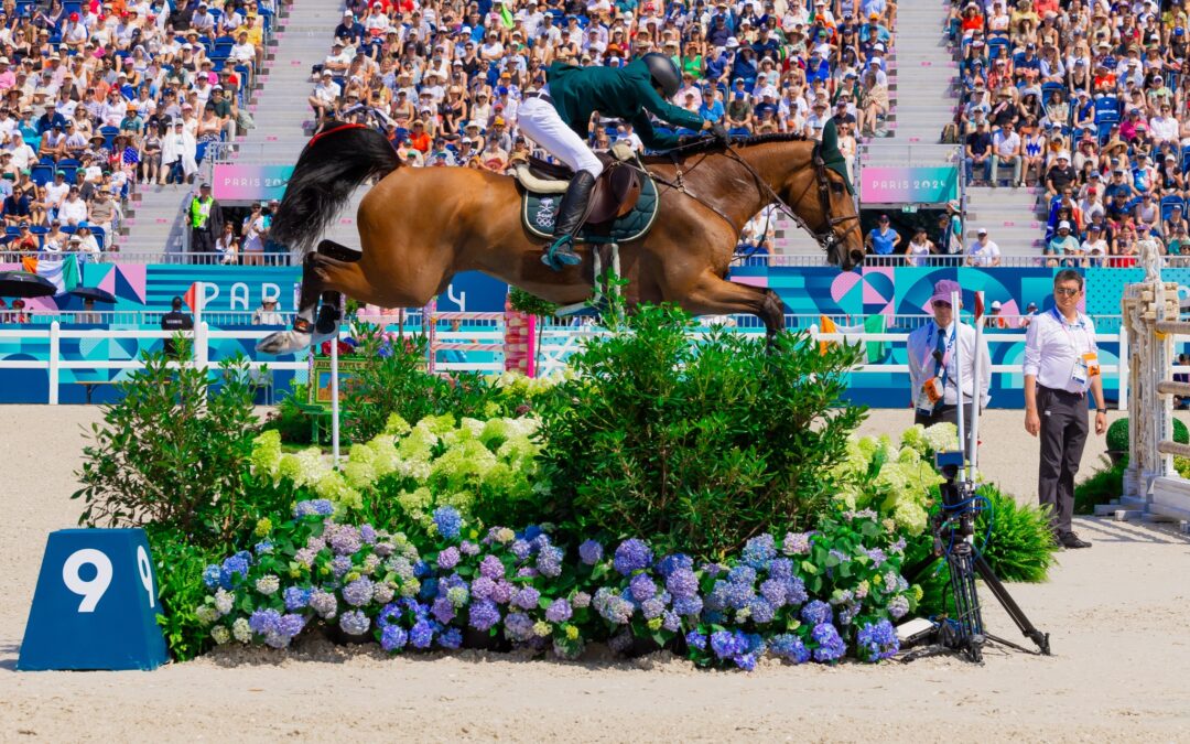 باريس.. انتهاء مشاركة المنتخب السعودي لقفز الحواجز من الدور التأهيلي للفرق المختلطة