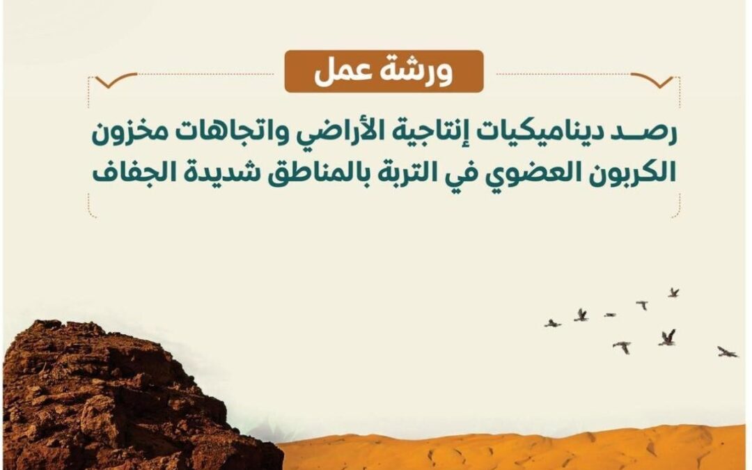 «الغطاء النباتي» يرصد تدهور الأراضي في المناطق شديدة الجفاف عبر ورشة عمل مشتركة
