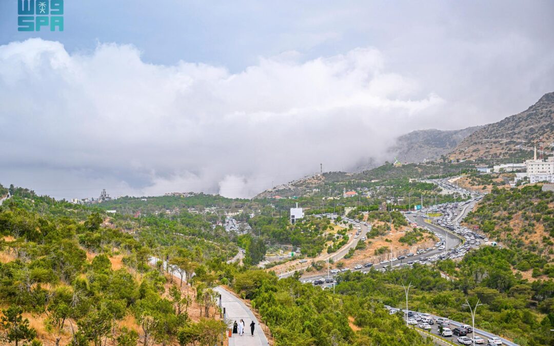 “الباحة”.. جمال الأشجار المعمرة يقصدها السياح من جميع أنحاء العالم