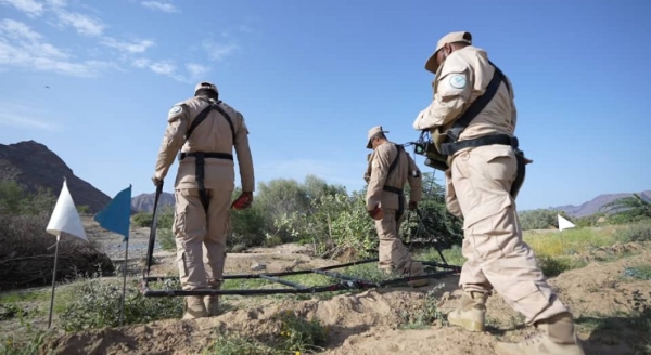 “مسام” ينتزع 670 لغمًا في اليمن خلال أسبوع