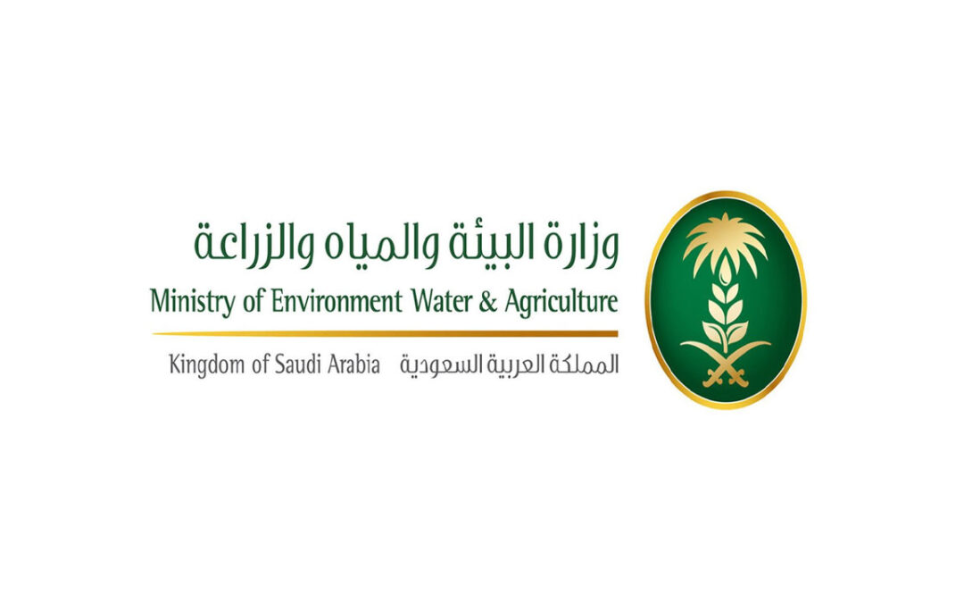 المملكة تعزز ريادتها في إنتاج التمور بأكثر من 1.6 مليون طن سنويّاً