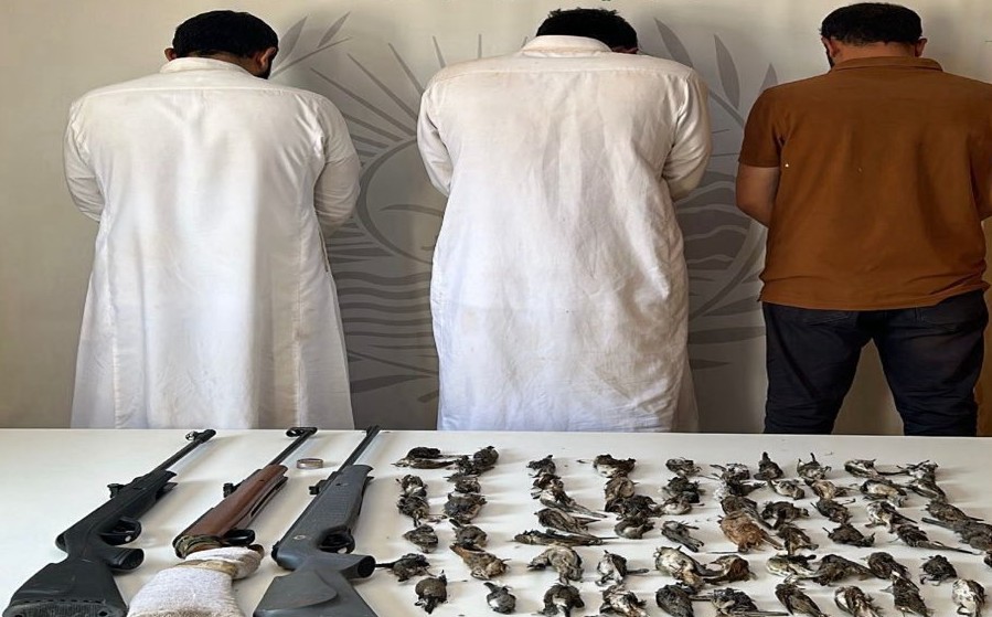 ضبط 3 مقيمين اصطادوا دون ترخيص بمحمية الإمام عبدالعزيز بن محمد الملكية