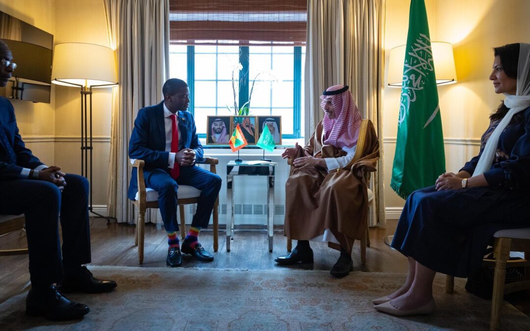 وزير الخارجية يجتمع برئيس وزراء غرينادا