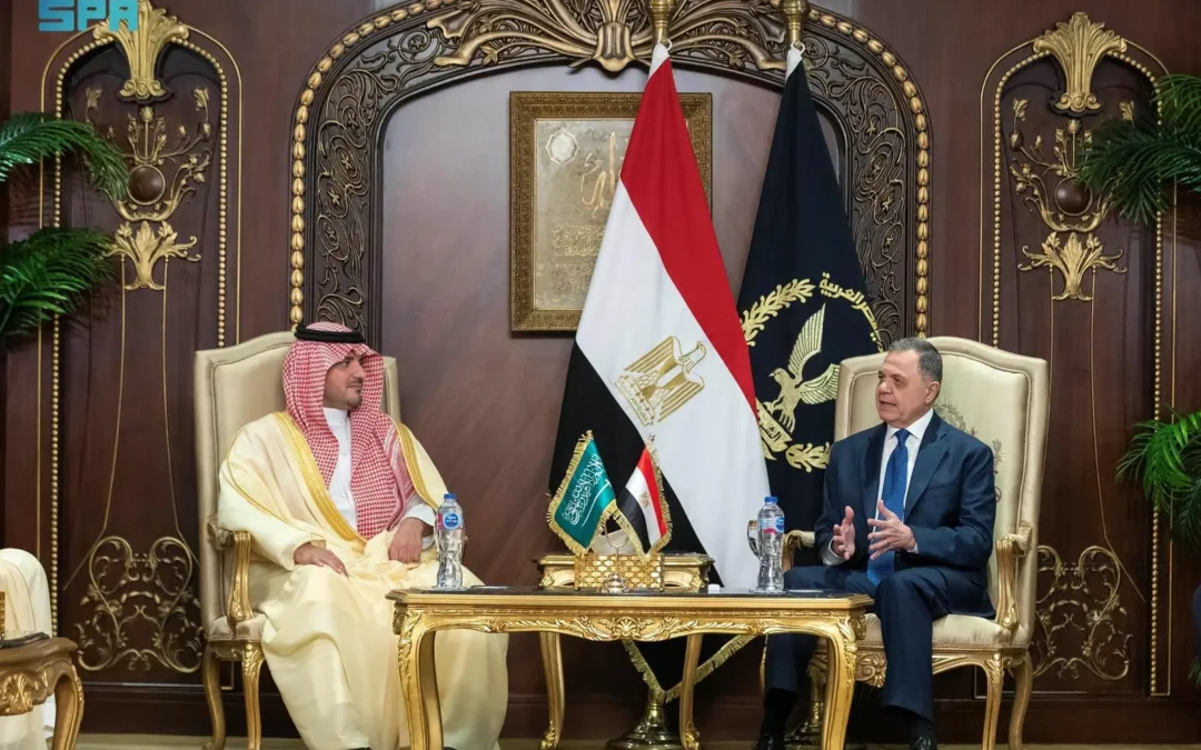 القاهرة.. وزير الداخلية يعقد جلسة مباحثات رسمية مع نظيره المصري