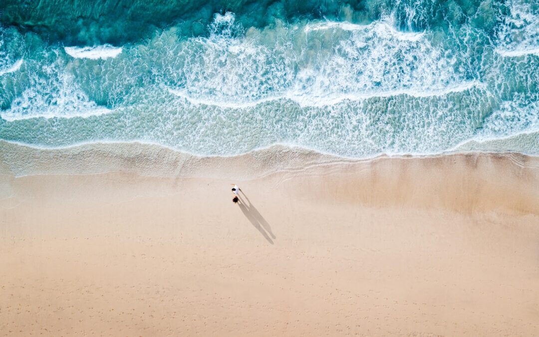 جزيرة السعديات أبو ظبي وجهة مميزة للاحتفاء باليوم الوطني السعودي