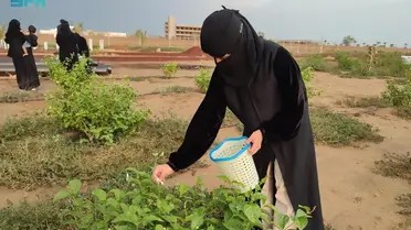 ريف السعودية: انطلاق البرنامج التدريبي الدولي للمزارعين ضمن بعثات لدول أوروبا وإفريقيا