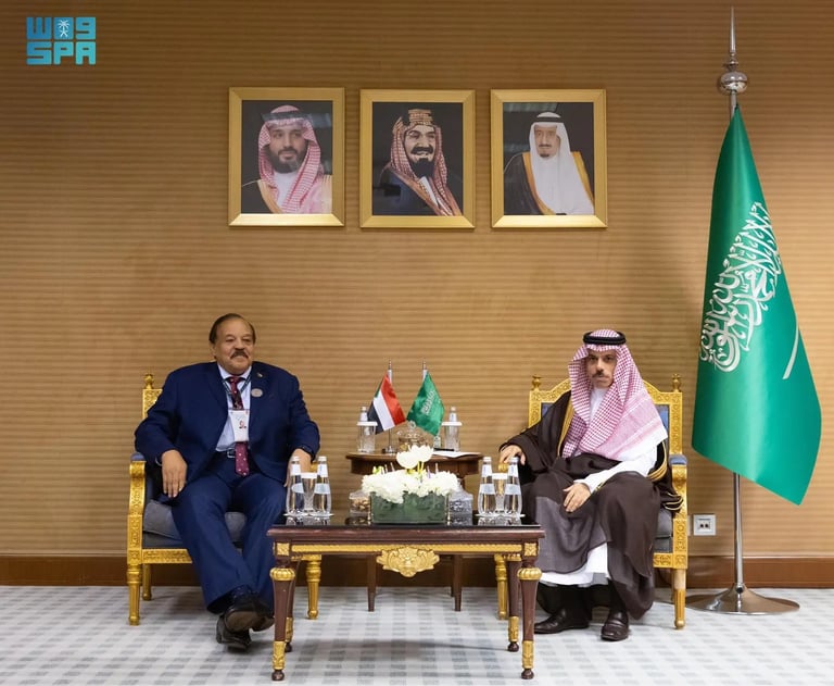 وزير الخارجية يلتقي نظيره السوداني على هامش القمة العربية والإسلامية غير العادية