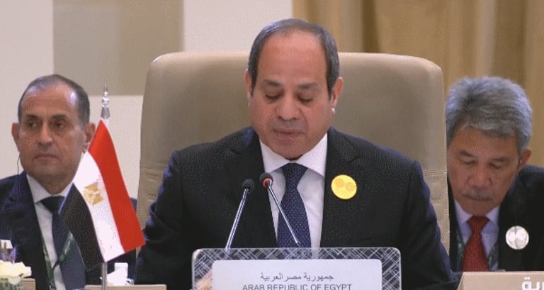 “السيسي”: مصر تدين القتل الممنهج الممارس على المدنيين في غزة
