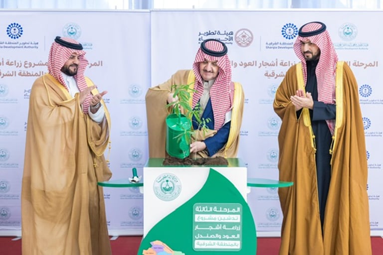 ضمن “السعودية الخضراء”.. “أمير الشرقية” يغرس أول شتلة “صندل”