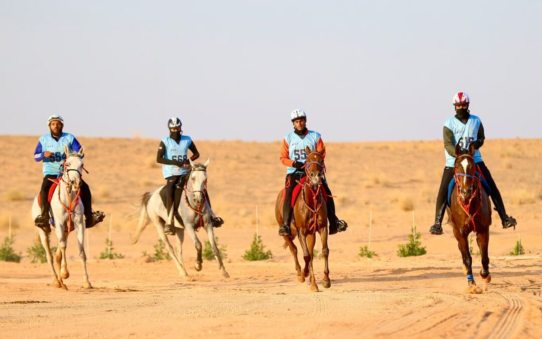 120 كم.. “الزايدي” بطلاً لسباق التحدي للقدرة والتحمل