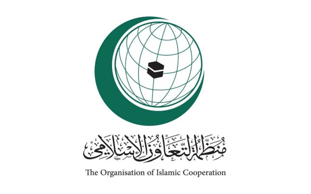 “التعاون الإسلامي”: رصدنا تسارعًا ملحوظًا لاستيطان الاحتلال في أراضي فلسطين