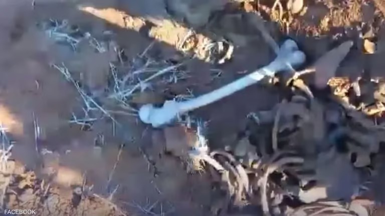 عظام وبقايا ملابس تعود لأكثر من 10 سنوات.. العثور على مقبرة جماعية بسوريا