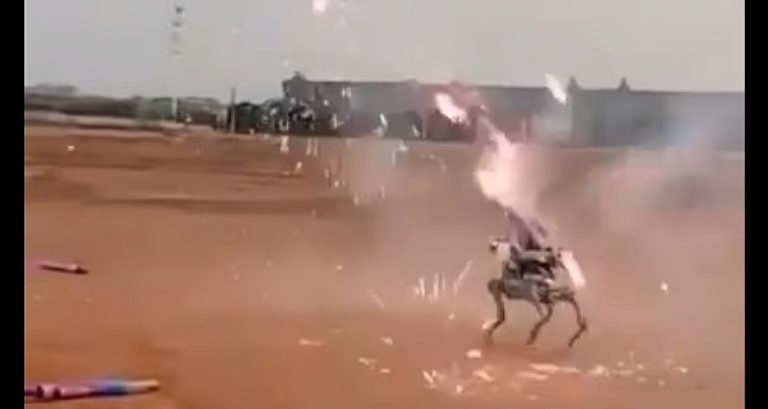 شاهد بالفيديو.. معركة بين “مسيرة” و”كلب آلي”