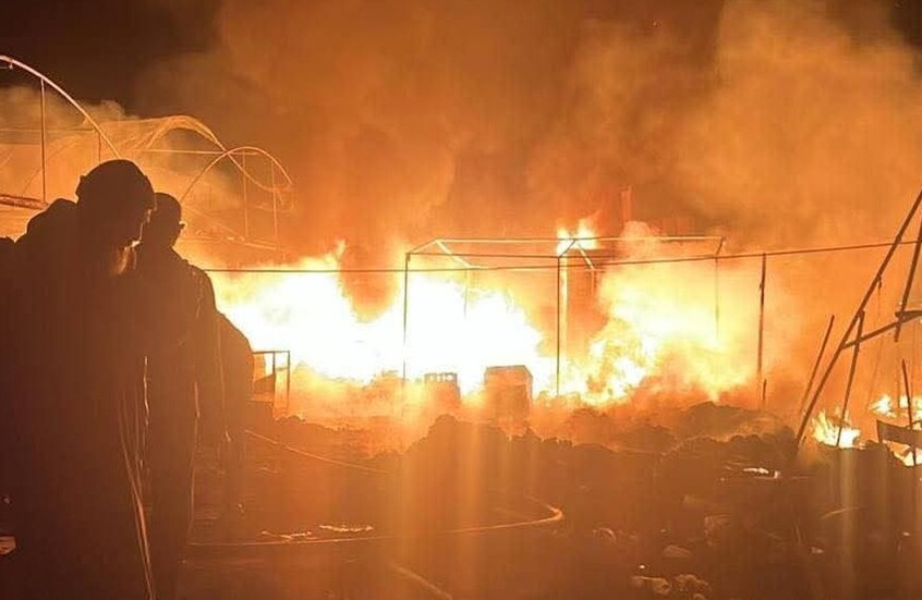 المقررة الأممية الخاصة بفلسطين: أفعال إسرائيل بغزة ترقى إلى مستوى “الإبادة الجماعية”