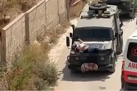 8 شهداء في اعتداءات الاحتلال الصهيوني بالضفة الغربية وغزة