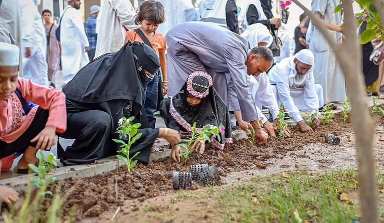 “النعناع المديني” يعزز صدارة المدينة المنورة للمناطق الأكثر إنتاجًا للنباتات العطرية