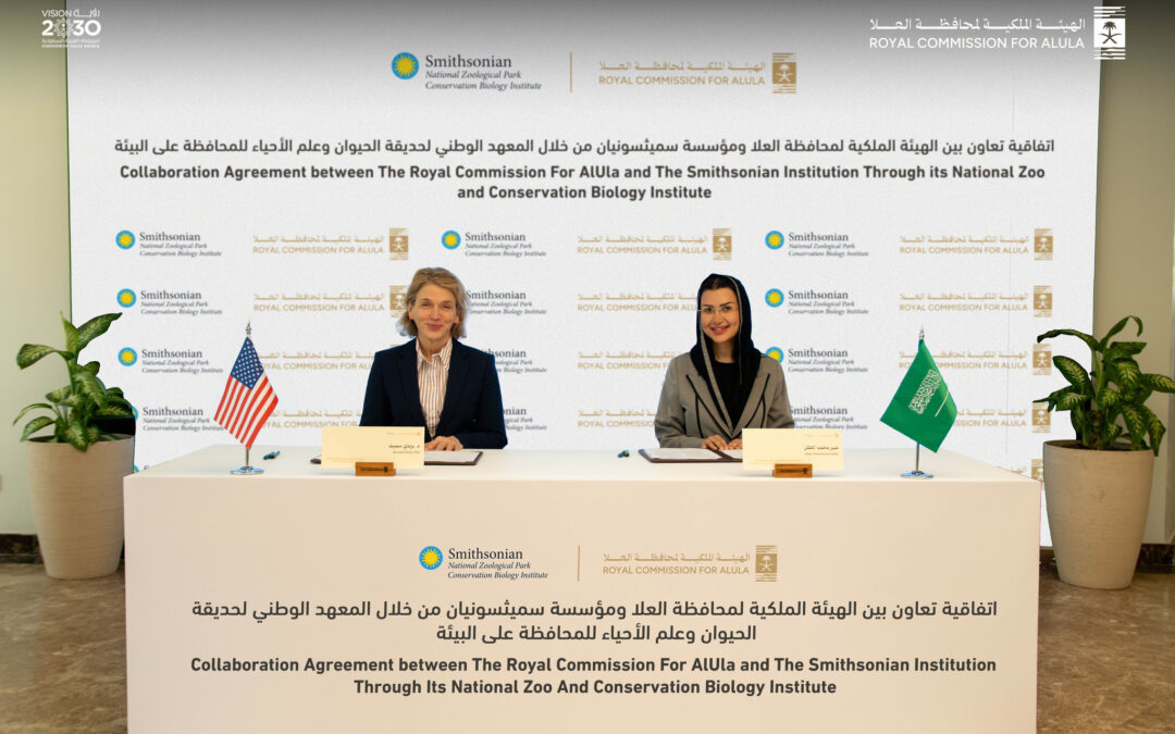 الهيئة الملكية لمحافظة العلا وصندوق النمر العربي يعلنان عن اتفاقية تعاون مع مؤسسة سميثسونيان لحماية النمر العربي